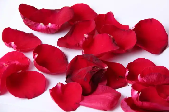 Ptales de rose dans la chambre du Domaine Jobert